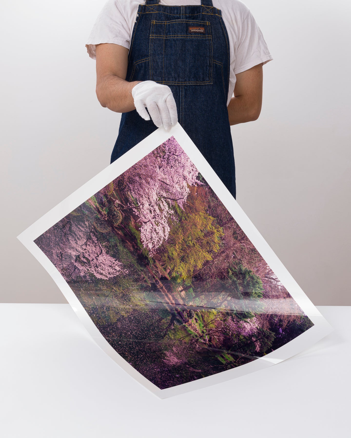 C-Print: Print Photography on Museum Quality, Archival C-Print Papers